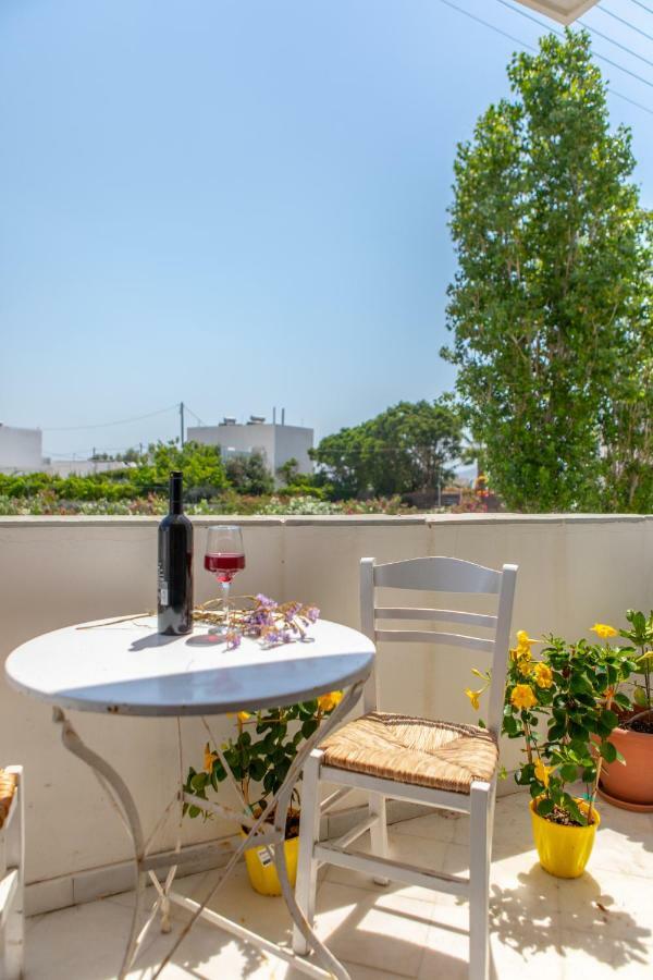 Apanemi Beachhouse Naxos City المظهر الخارجي الصورة